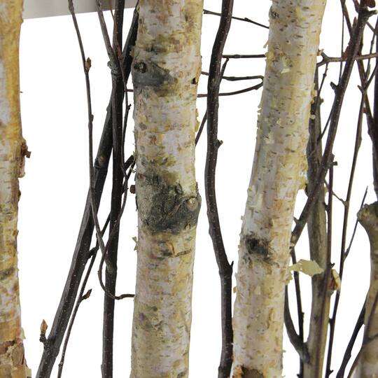 17.75" Mixed Branches in Rustic Wood Frame